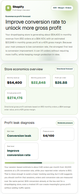 Shopify Profit Margin Calculator output — hero summary, store economics overview and profit leak diagnosis